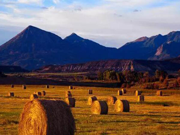 潔普智能生物質(zhì)破碎機巧助力