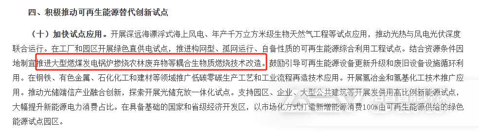 《關(guān)于大力實(shí)施可再生能源替代行動的指導(dǎo)意見》