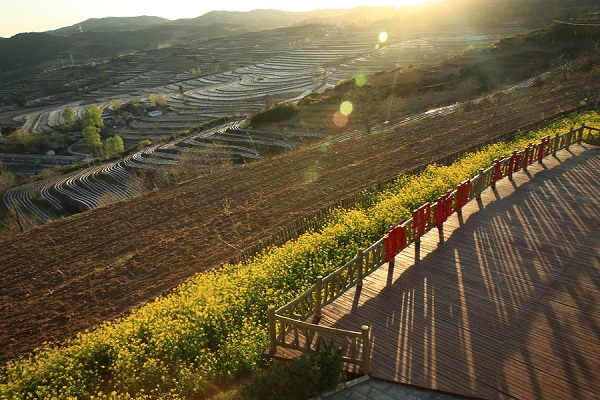 農(nóng)田“白色污染”再革命開始了