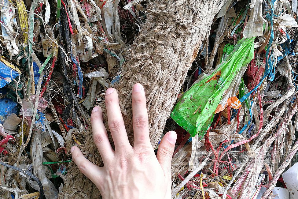 湖南紙廠廢料破碎處置項(xiàng)目