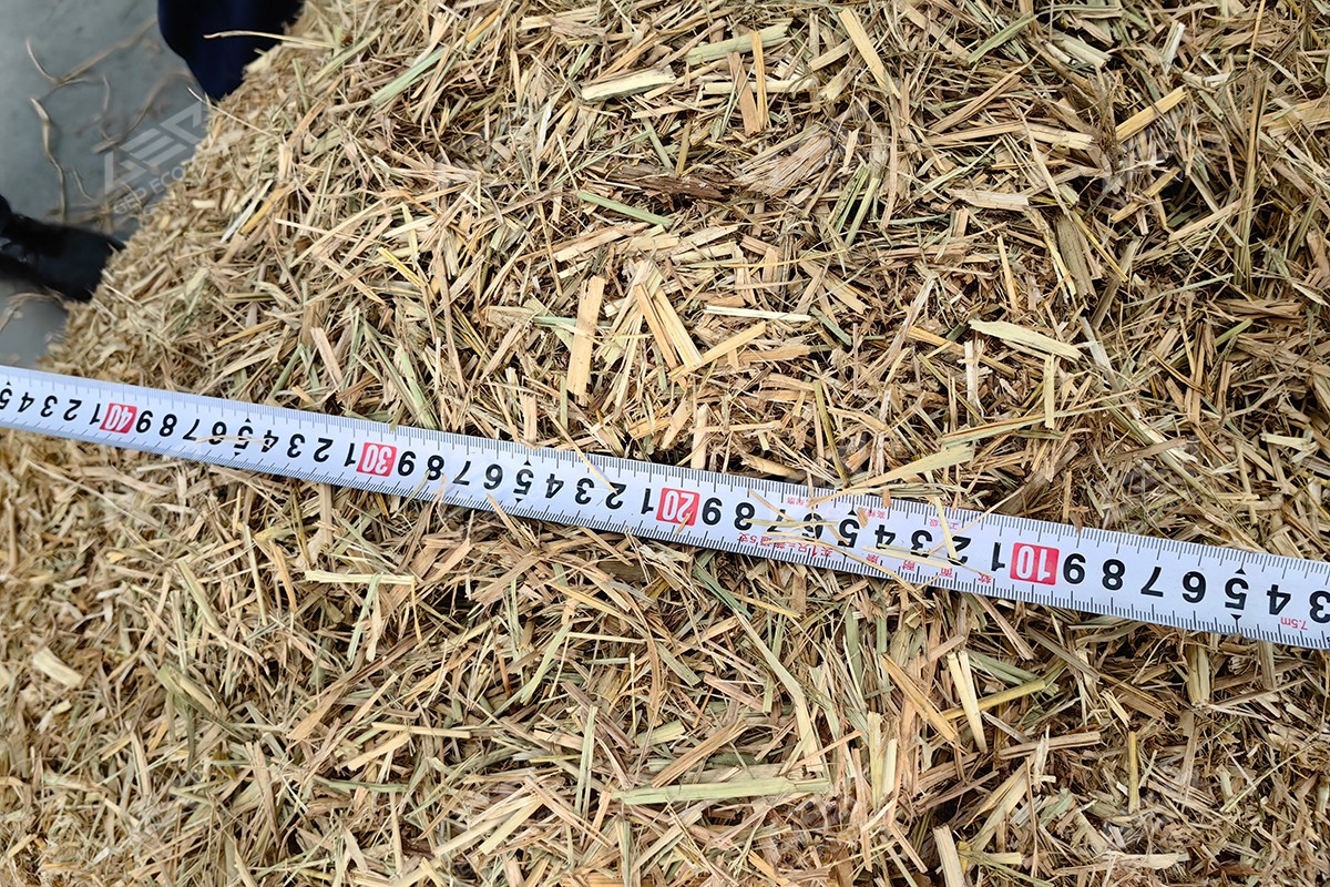 生物質秸稈撕碎機后效果