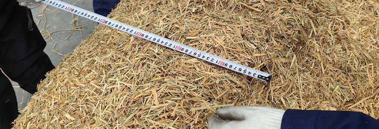 玉米秸稈處理后