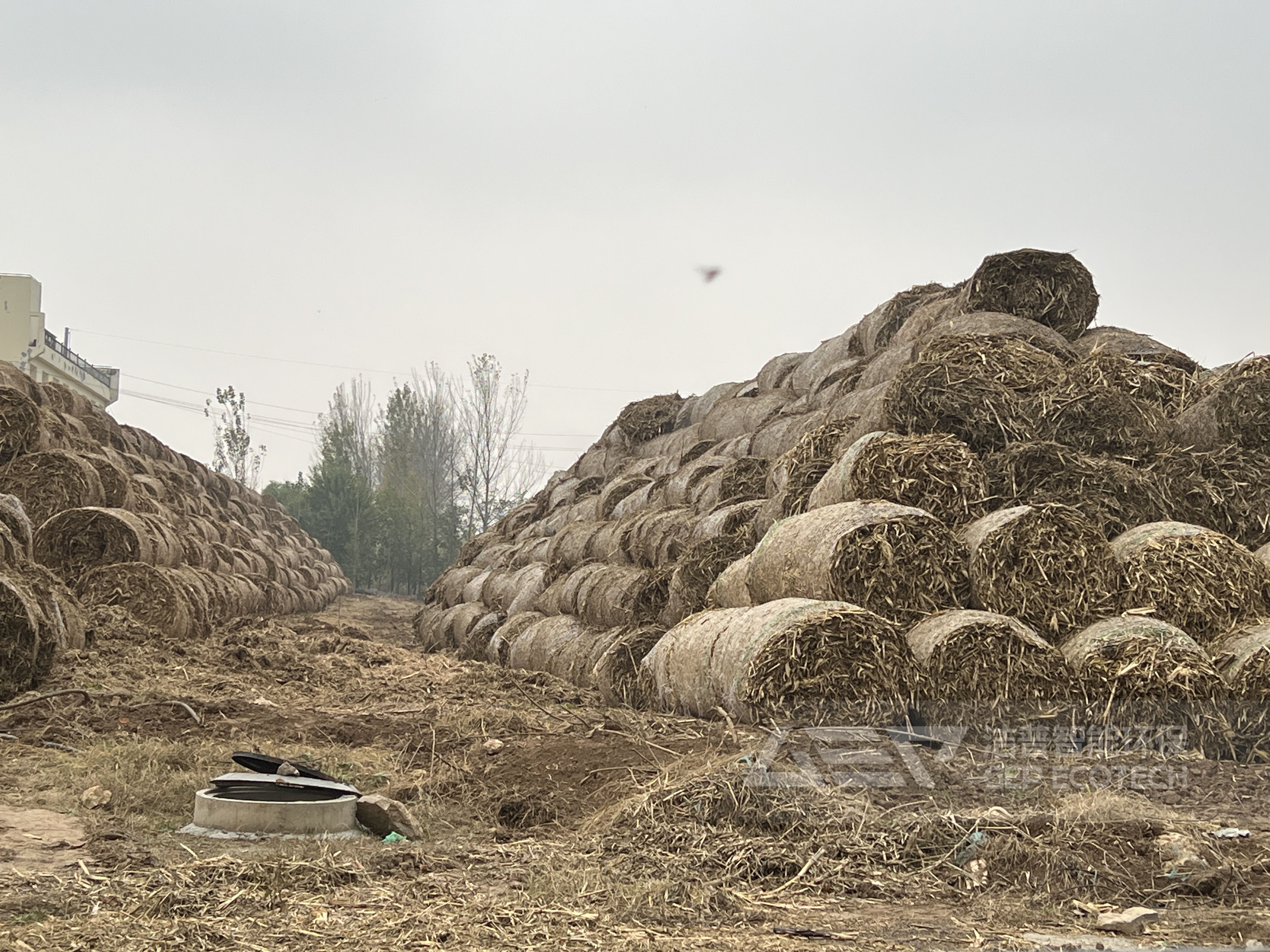生物質(zhì)秸稈