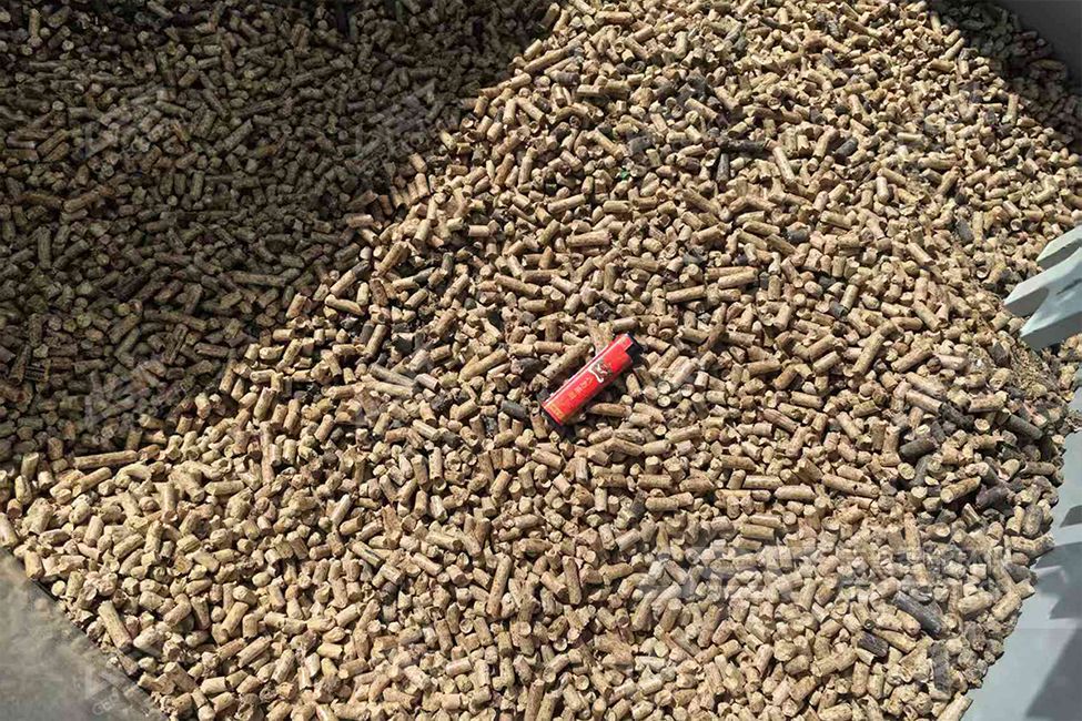山東生物質(zhì)顆粒燃料技改項(xiàng)目